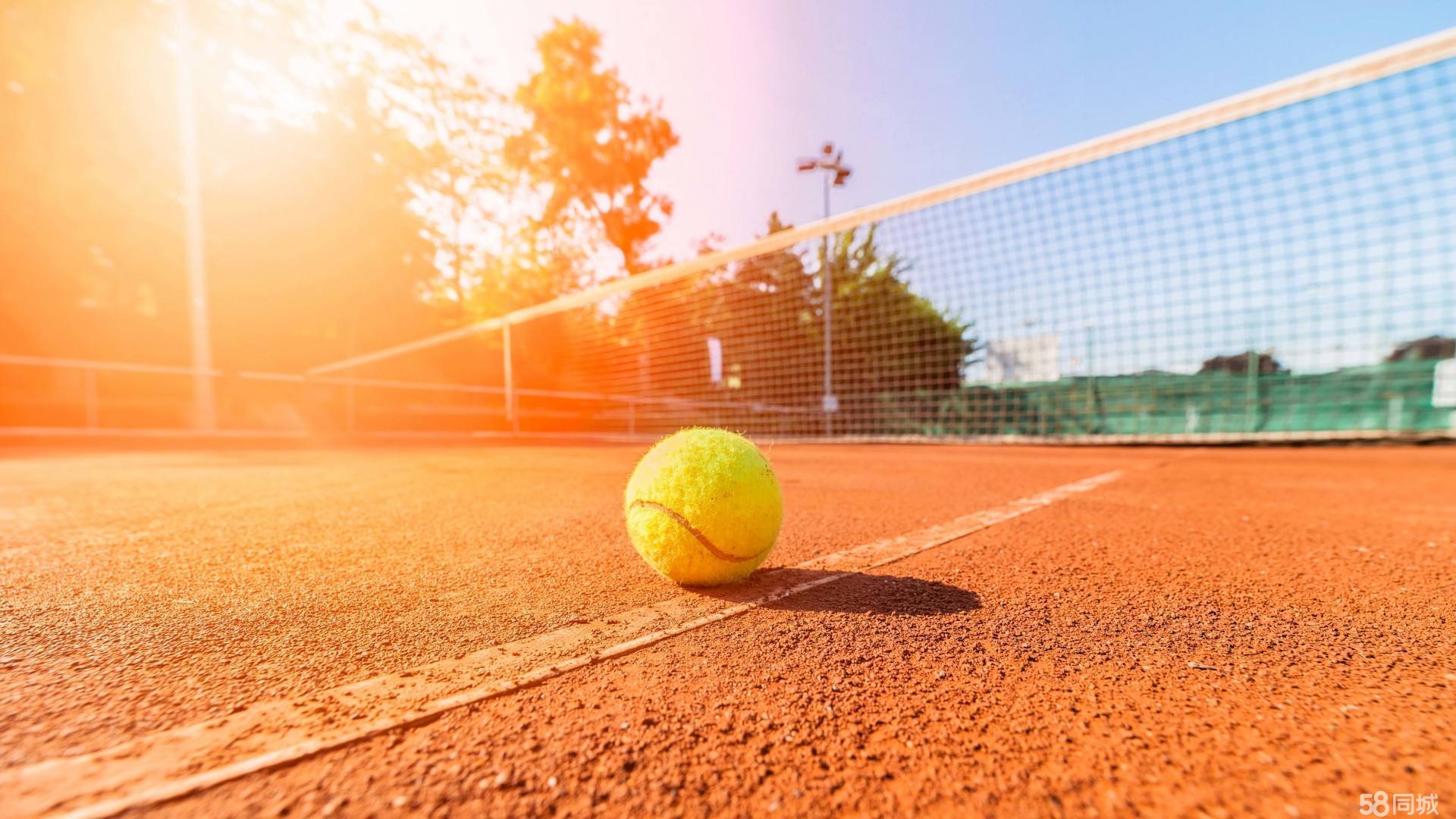 奥委会的一 奥委会的一